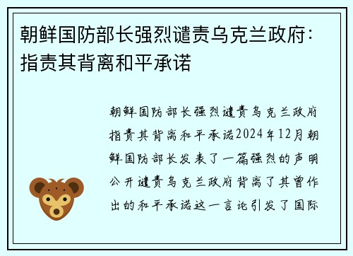 朝鲜国防部长强烈谴责乌克兰政府:指责其背离和平承诺