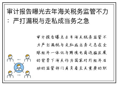 审计报告曝光去年海关税务监管不力：严打漏税与走私成当务之急