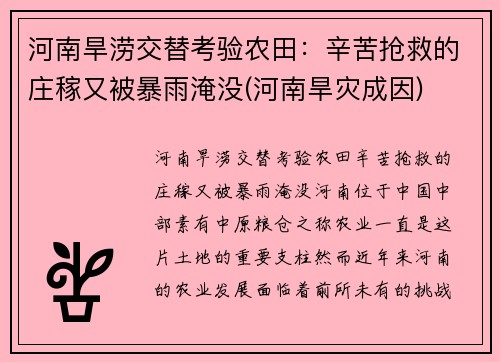 河南旱涝交替考验农田:辛苦抢救的庄稼又被暴雨淹没(河南旱灾成因)