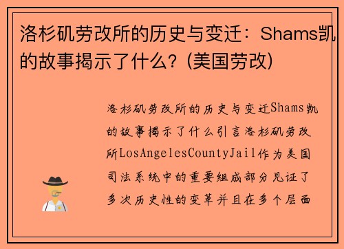 洛杉矶劳改所的历史与变迁：Shams凯的故事揭示了什么？(美国劳改)