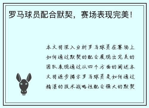 罗马球员配合默契,赛场表现完美!