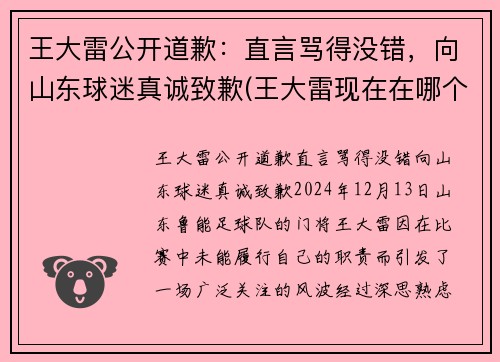 王大雷公开道歉：直言骂得没错，向山东球迷真诚致歉(王大雷现在在哪个球队)